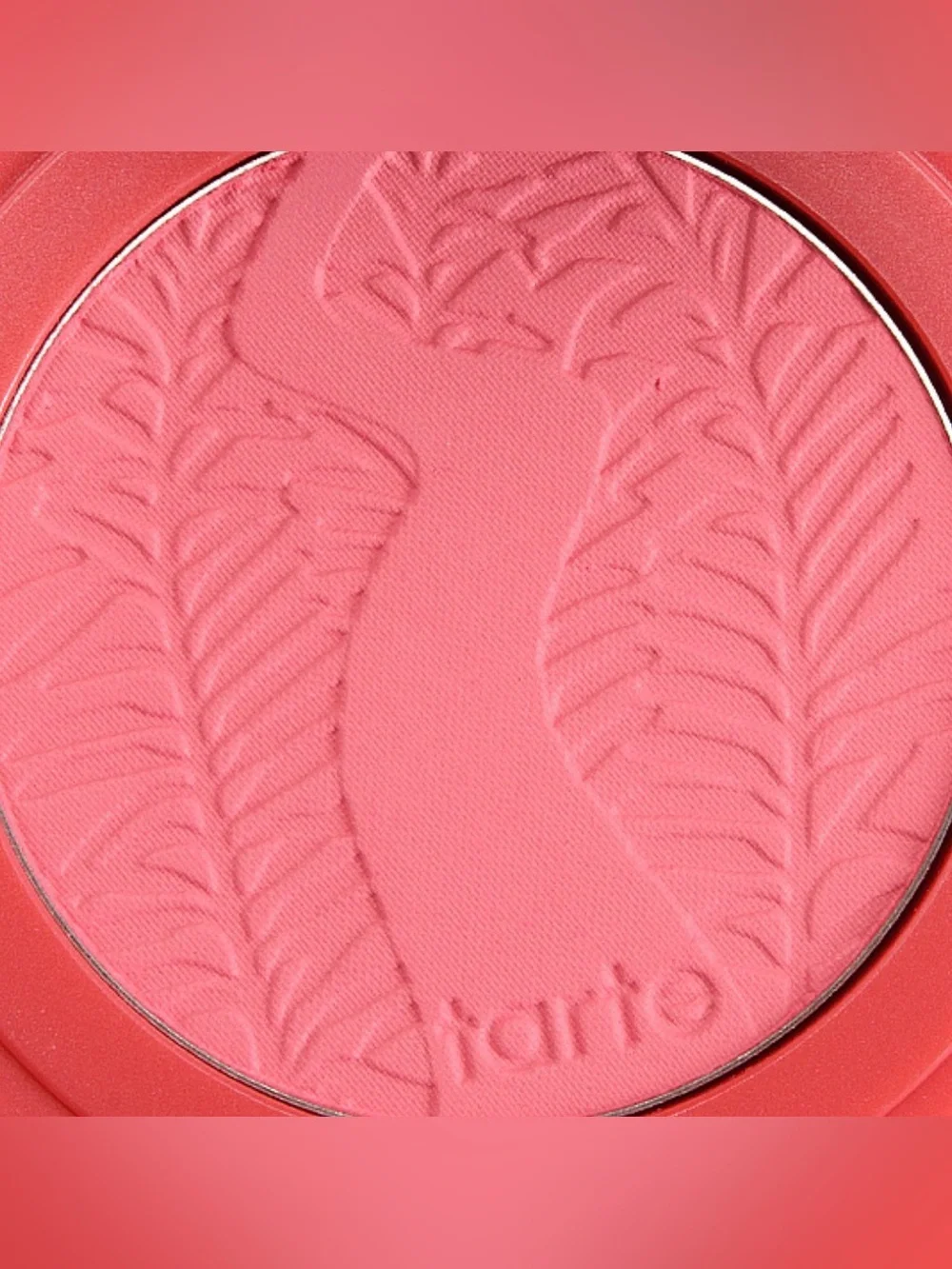 NEW✅ Tarte Amazonian Clay 12-Hour Blush Fearless • Longwear Matte Blush